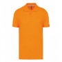 Polo DENIS