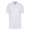 Polo DENIS