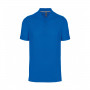 Polo DENIS