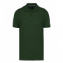 Polo DENIS