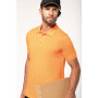 Polo DENIS