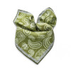 Foulard en soie Naturelle CELADON