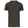 T-shirt Col V ALBERT  