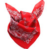 Foulard en soie naturelle HELIOS