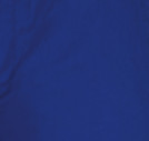 ELECTRIC BLUE